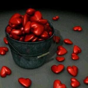 Meet your Posher, Margo